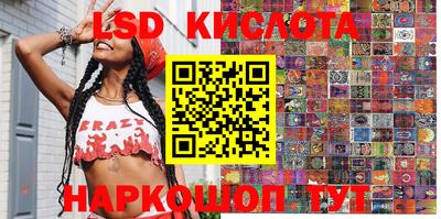 индика Можга