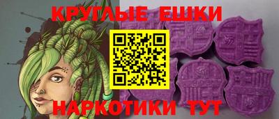 индика Можга