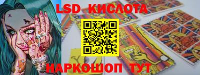 индика Можга