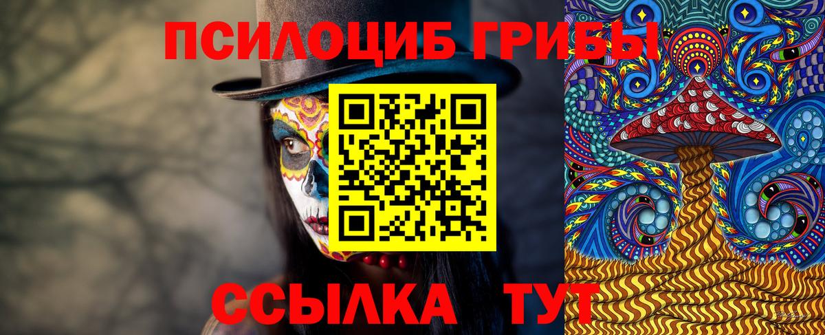 Урюпинск  что такое наркотик  Галлюциногенные грибы GOLDEN TEACHER  Вход с VPN  Псилоцибиновые грибы MAGIC MUSHROOMS 